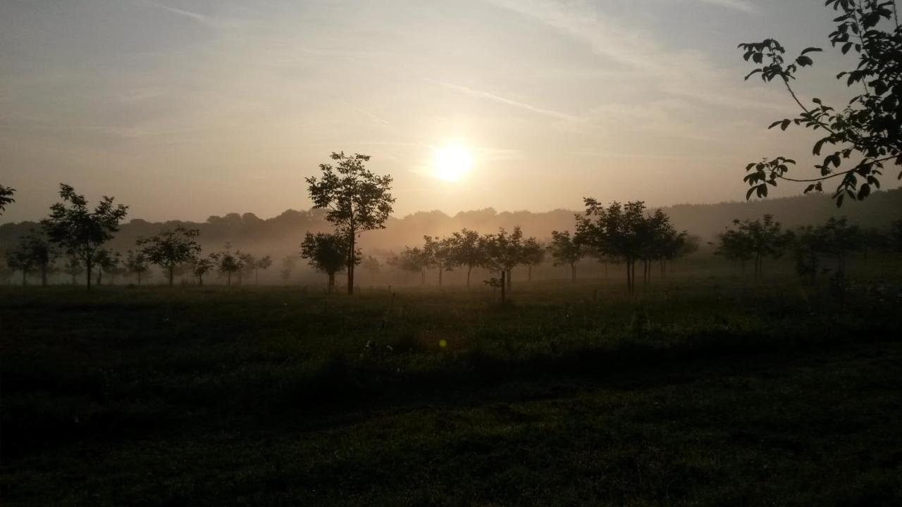 Domaine De La Noiseraie Rhisnes Buitenkant foto