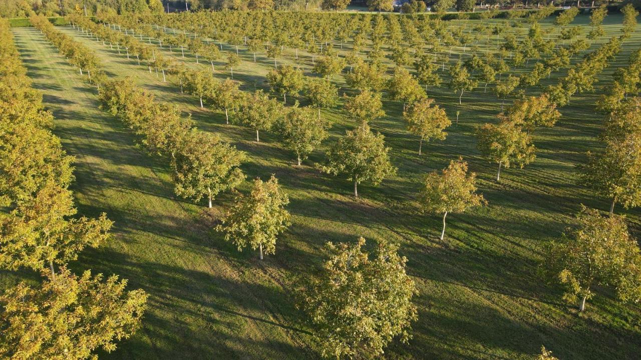 Domaine De La Noiseraie Rhisnes Buitenkant foto