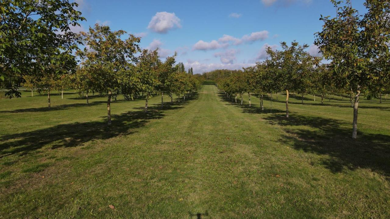 Domaine De La Noiseraie Rhisnes Buitenkant foto