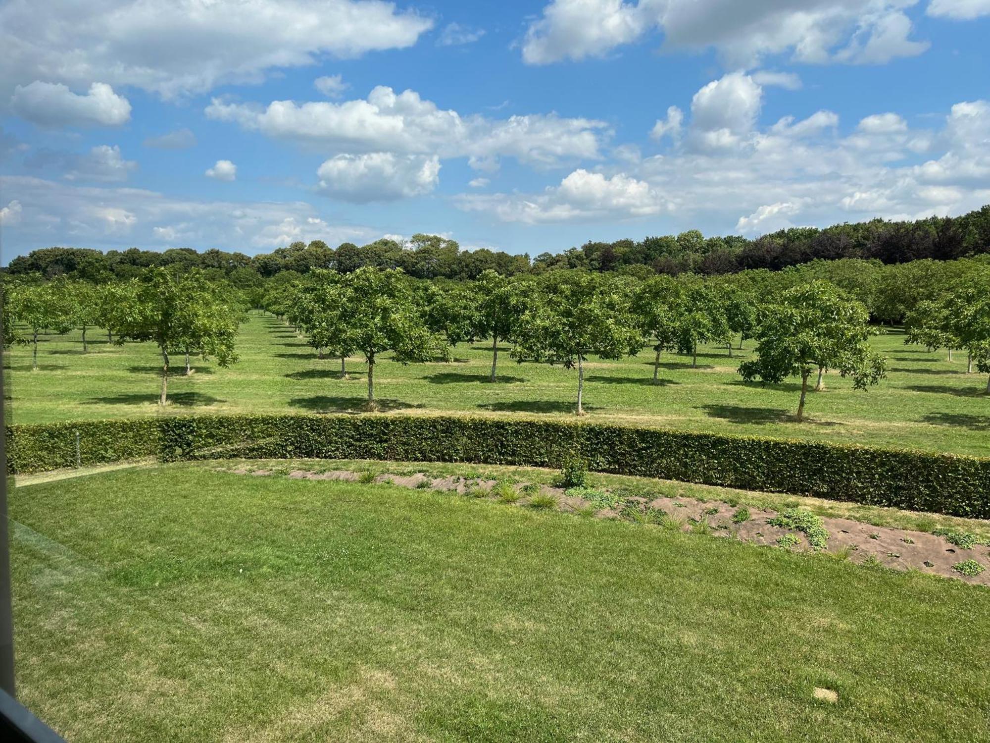 Domaine De La Noiseraie Rhisnes Buitenkant foto