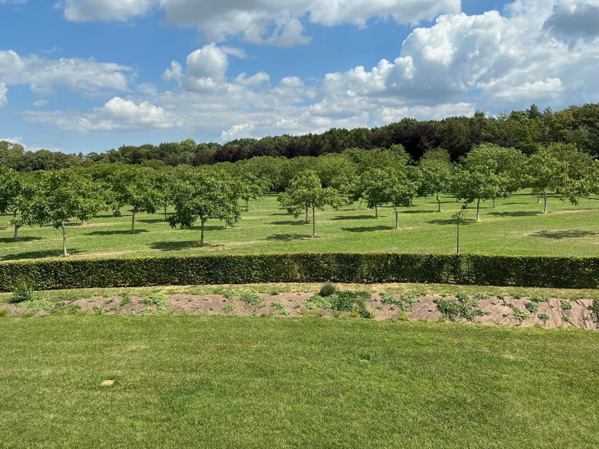 Domaine De La Noiseraie Rhisnes Buitenkant foto